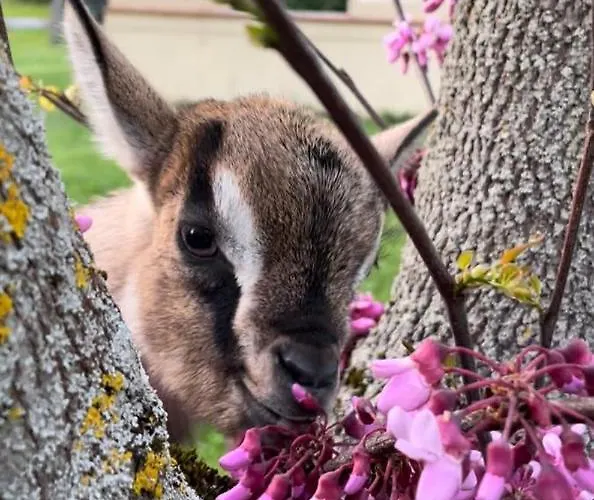 Alloggio per agriturismo Borgo Delle Mole